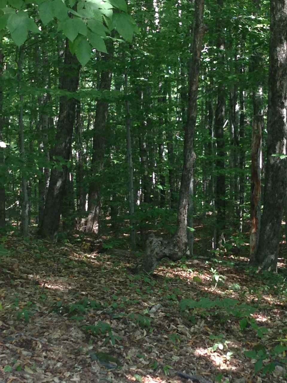 0 Cross Road Strafford, VT 05072 - Photo 3 of 5