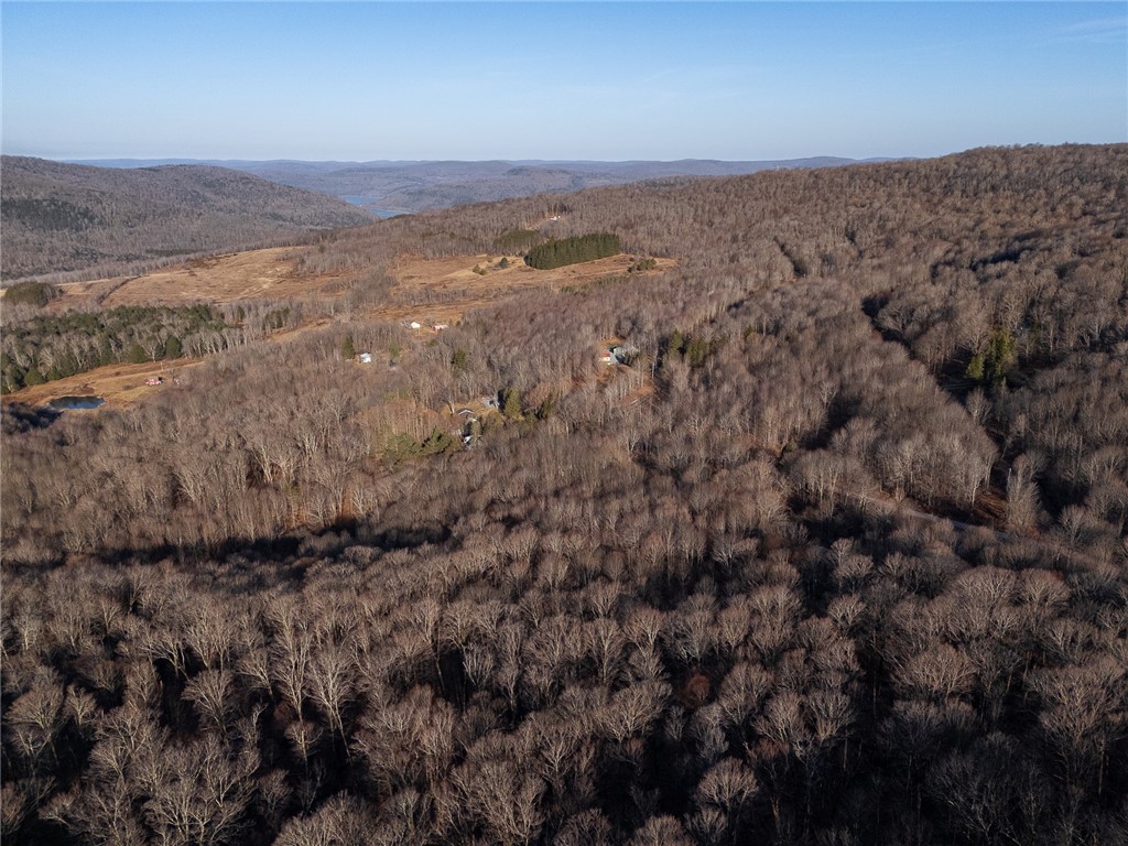 1971 Barkaboom Road Andes, NY 13731 - Photo 2 of 22