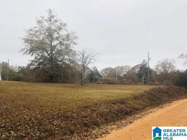 705 County Road 402 Clanton, AL 35045 - Photo 3 of 13