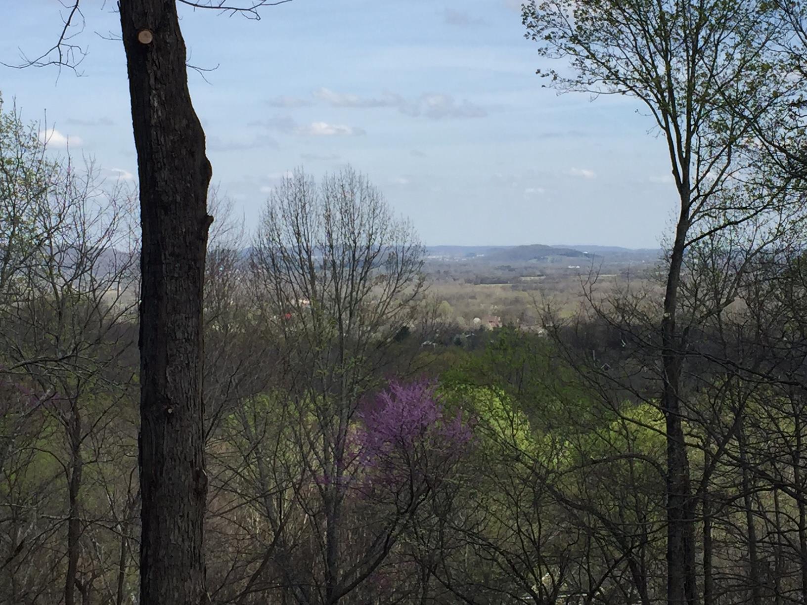 801 High Point Ridge Road Franklin, TN 37069 - Photo 1 of 29 a view of a yard