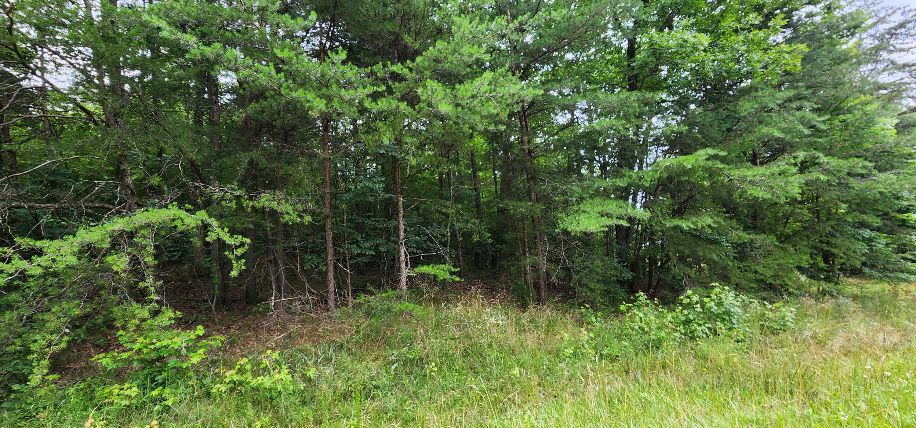 0 Sequatchie Mountain Road Sequatchie, TN 37374 - Photo 8 of 9 1000053937