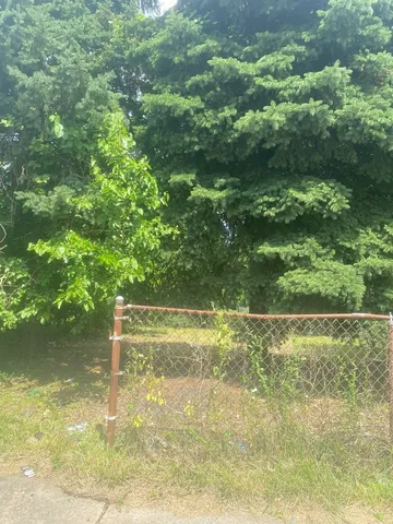 a view of a green yard with large trees