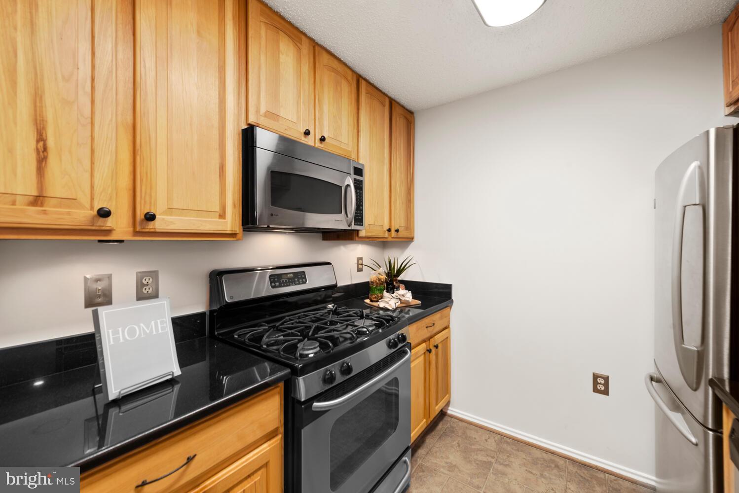 20957 Timber Ridge Terrace, Unit 101 Ashburn, VA 20147 - Photo 9 of 33 Lovely wood cabinets and SS appliances