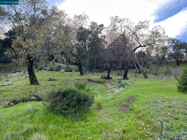 a view of outdoor space with trees all around