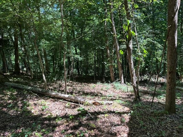 684 Eva Flatwoods Road Eva, TN 38333 - Photo 42 of 43