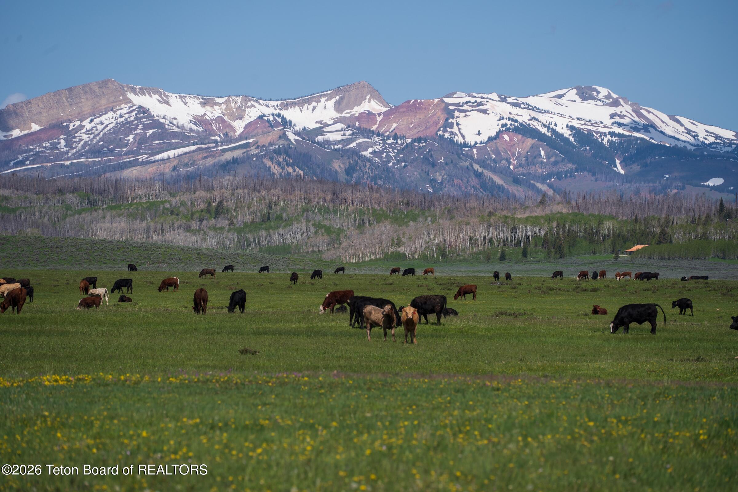 980-acres Merna North Beaver Road Daniel, WY 83115 - Photo 5 of 45 5