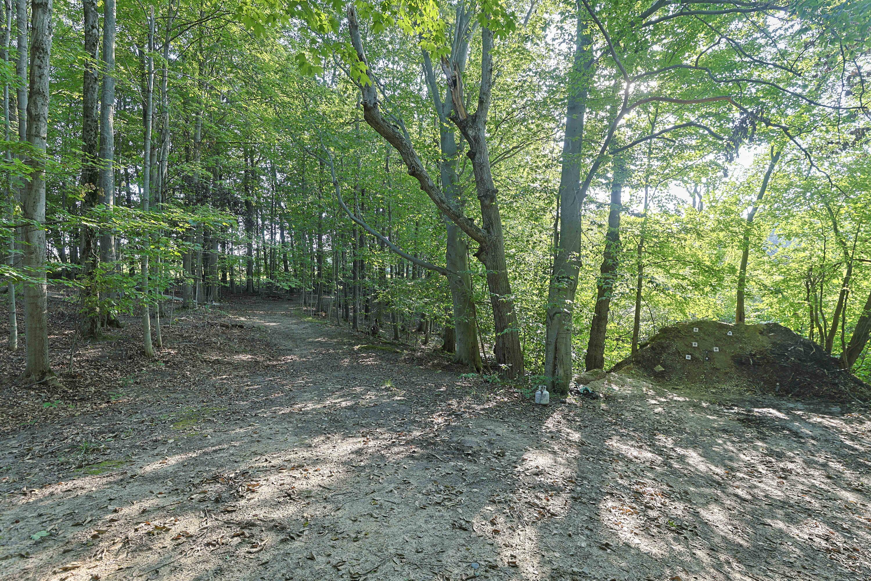 14910 Boyle Lake Road Galien, MI 49113 - Photo 25 of 34 Woods