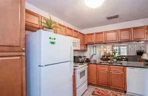 $2,300 | 1393 Cadhay Court, Safety Harbor, FL 34695