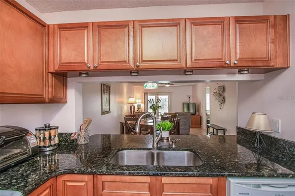 $2,300 | 1393 Cadhay Court, Safety Harbor, FL 34695