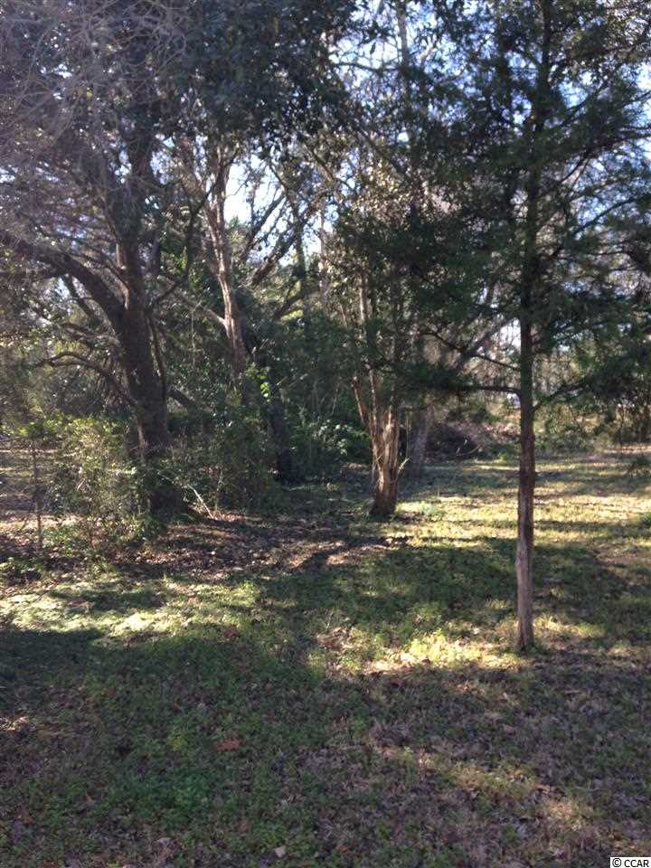 239 Greentown Road Georgetown, SC 29440 - Photo 10 of 10 Gallery Image 10