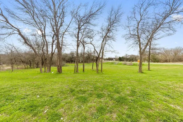a view of field with trees