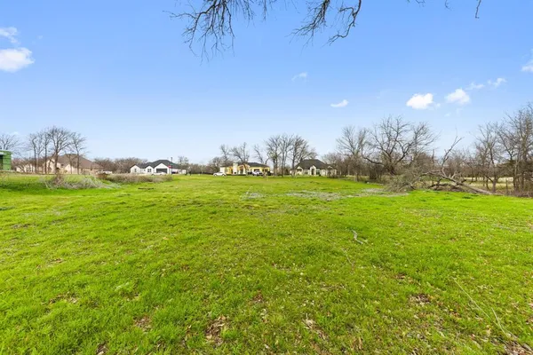 a view of a grassy field with trees in the background