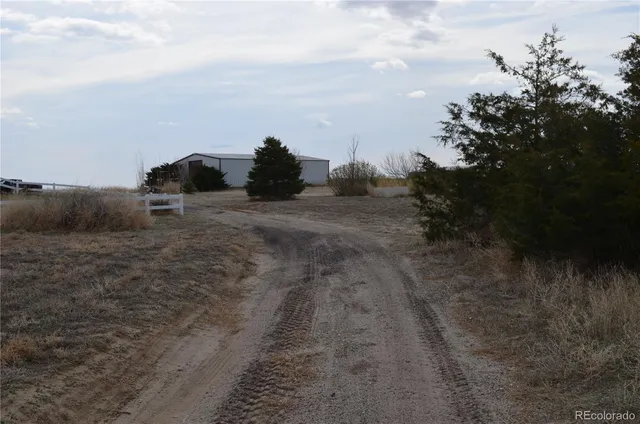 a view of a dry yard with wooden fence
