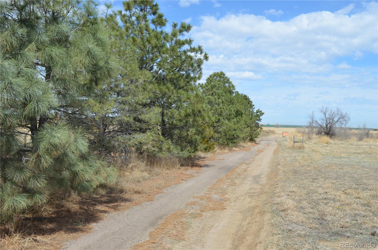 74500 East 136th Avenue Byers, CO 80103 - Photo 29 of 31 a view of a yard with a tree