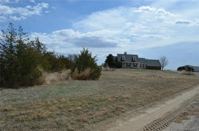 a view of a dry yard with wooden fence