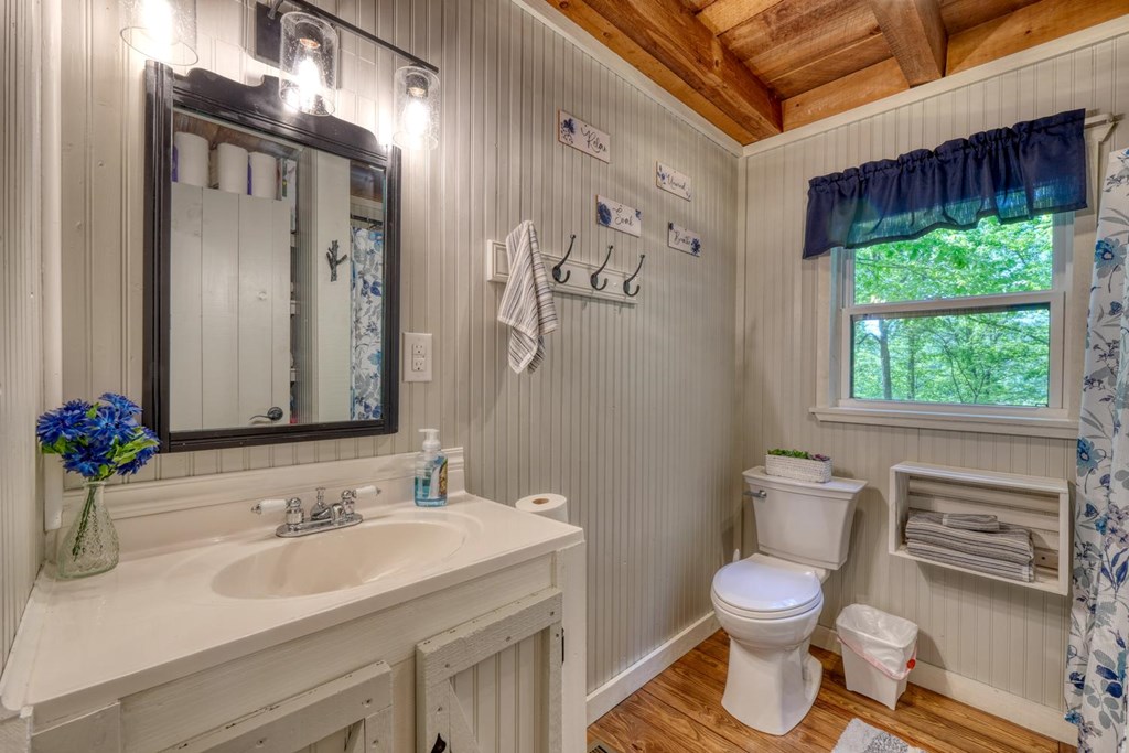 919 New Hope Road Morganton, GA 30560 - Photo 28 of 52 a bathroom with a toilet sink and mirror
