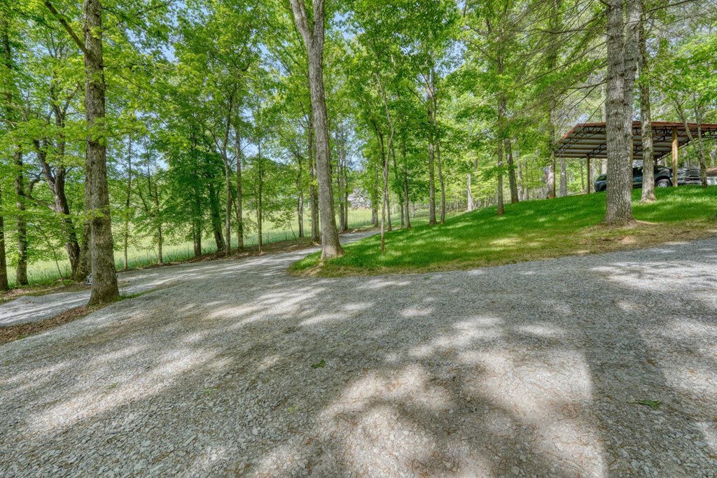 919 New Hope Road Morganton, GA 30560 - Photo 51 of 52 a view of a house with a big yard