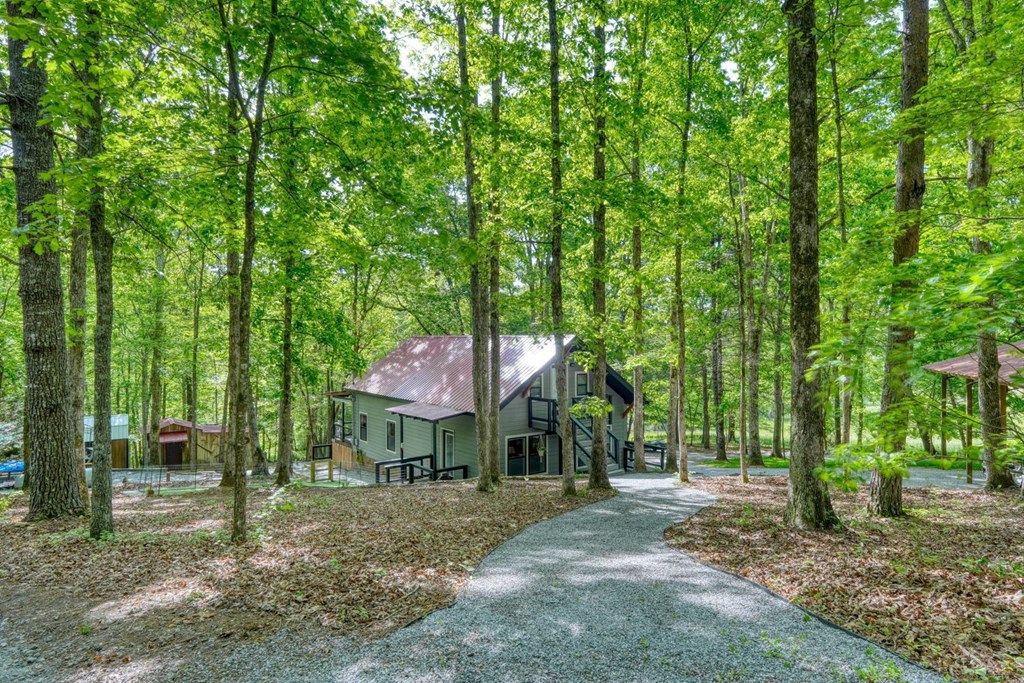 919 New Hope Road Morganton, GA 30560 - Photo 8 of 52 a backyard of a house with table and chairs