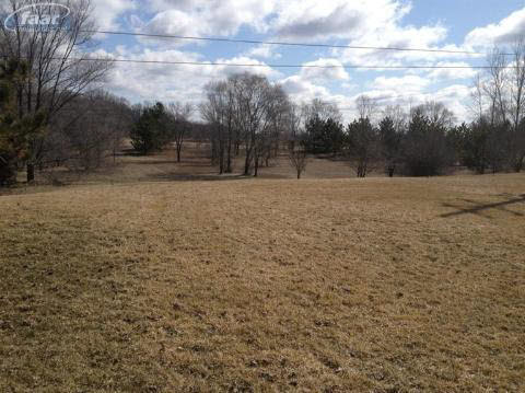 4951 Cottrell Road Vassar, MI 48768 - Photo 3 of 9 20350962-2.JPG