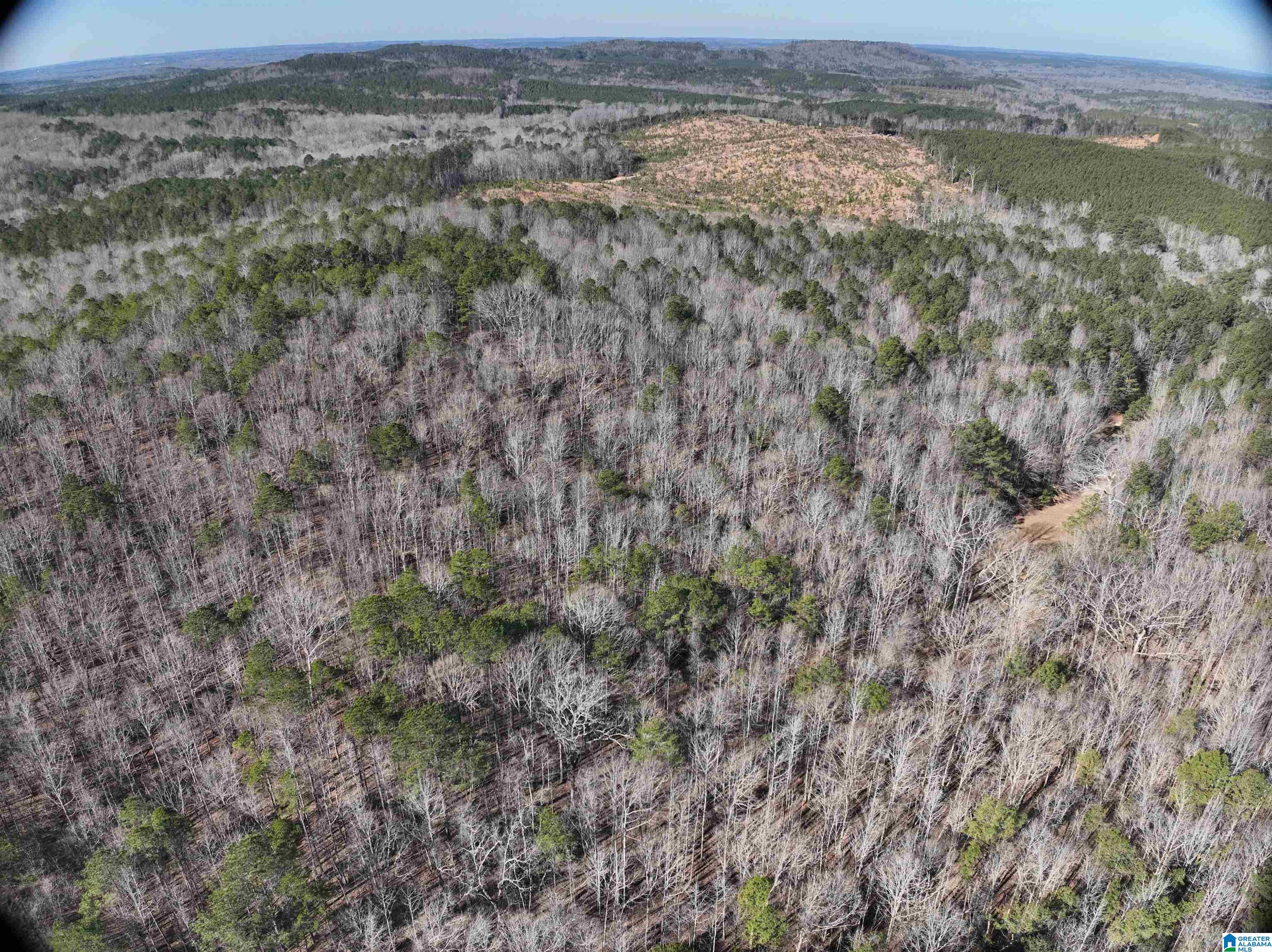 6171 Highway 102, Unit 1 Fayette, AL 35555 - Photo 17 of 68