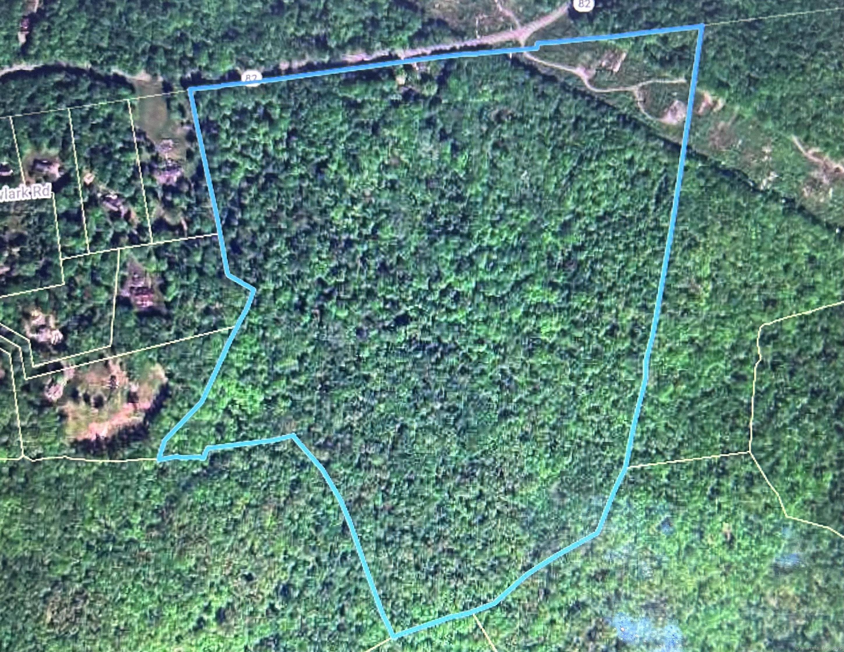 a view of a flower in a garden