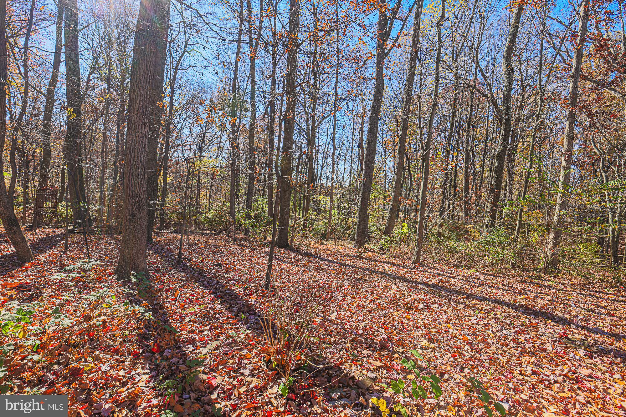 13447 Old Annapolis Road Mount Airy, MD 21771 - Photo 39 of 39 Gallery Image 39