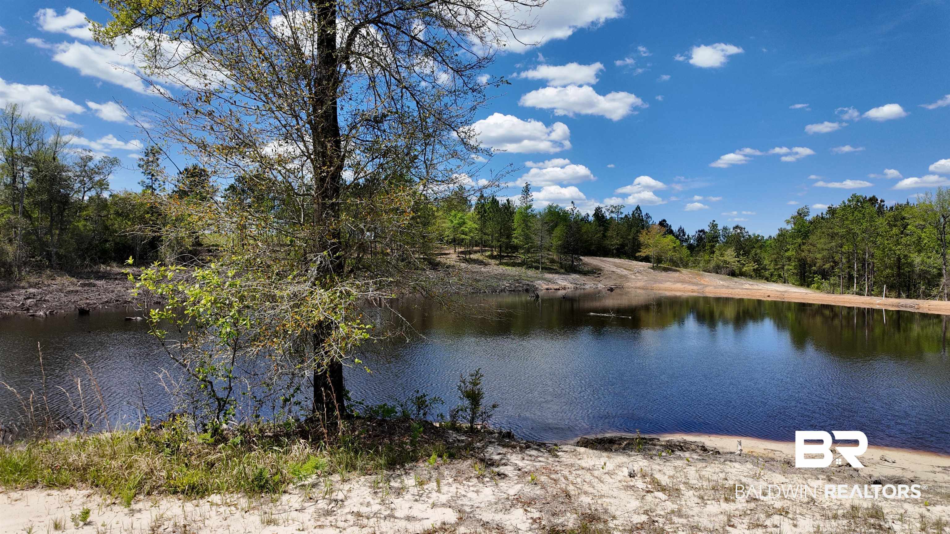 0 Powell Road Eight Mile, AL 36613 - Photo 41 of 57