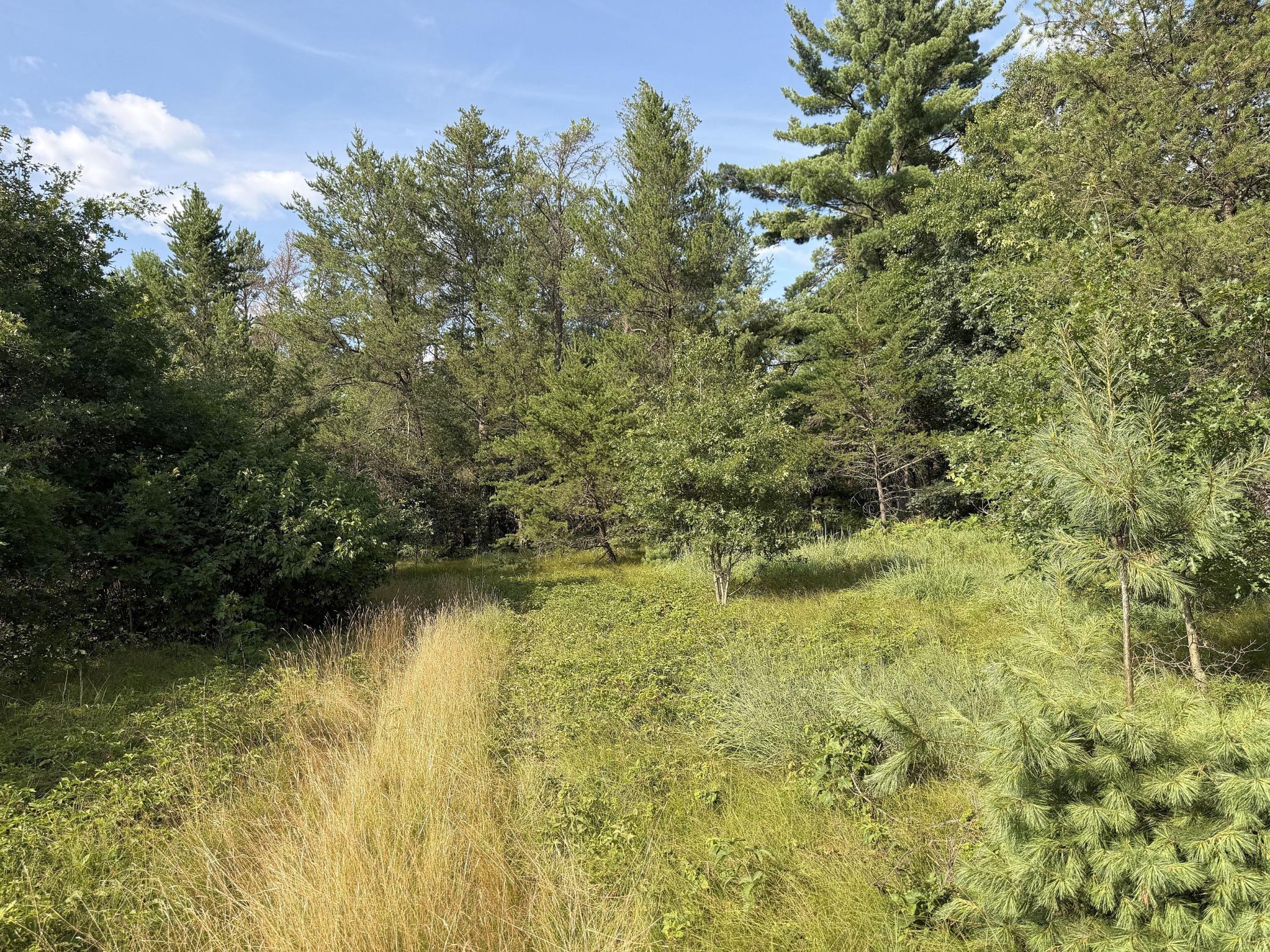 S13160 Camp Road Fairchild, WI 54741 - Photo 20 of 32 Gallery Image 20