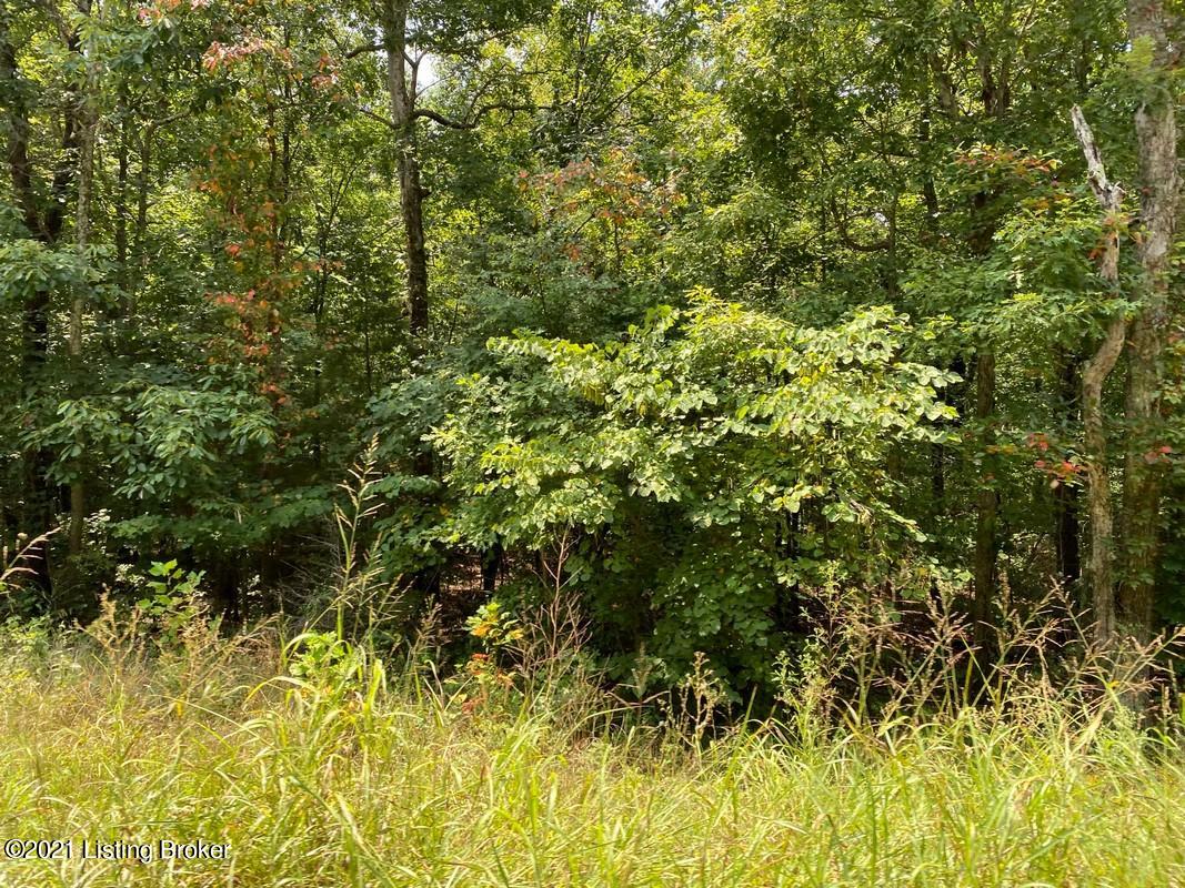 Lot 9-0 Wax Road Clarkson, KY 42726 - Photo 5 of 7 Logsdon Acres North Farm38