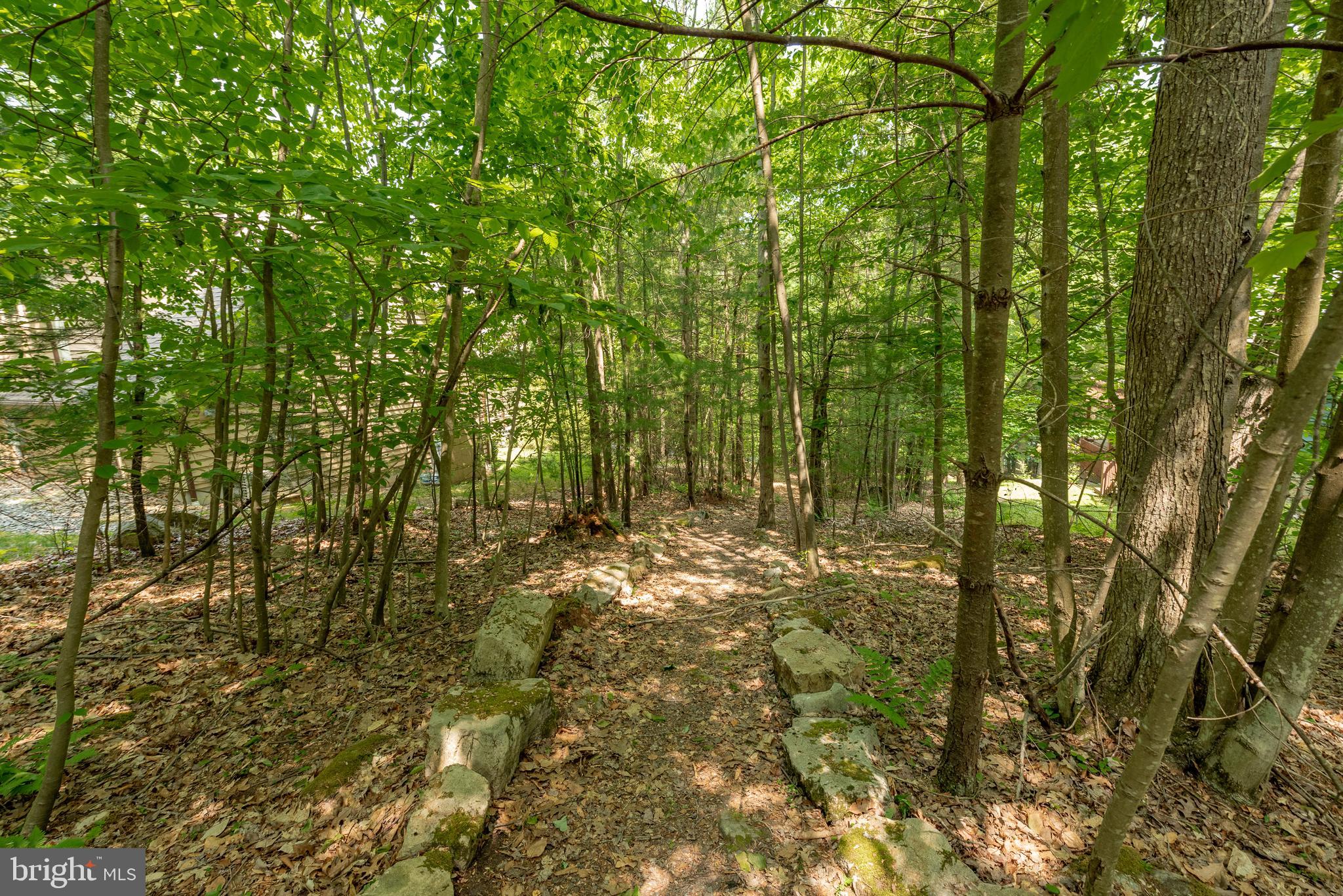 105 Monastery Way Swanton, MD 21561 - Photo 108 of 111