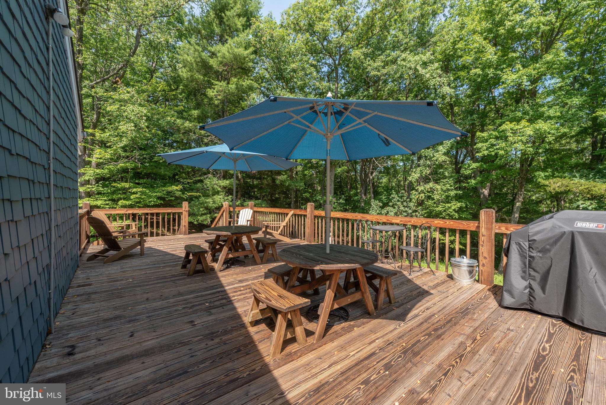 105 Monastery Way Swanton, MD 21561 - Photo 99 of 111