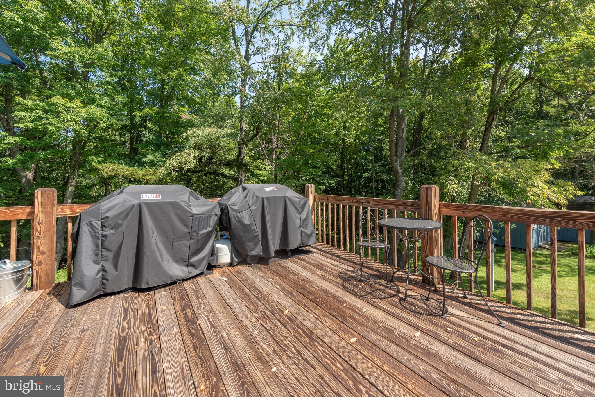 105 Monastery Way Swanton, MD 21561 - Photo 100 of 111