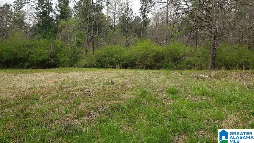 7080 Groundhog Road Morris, AL 35116 - Photo 3 of 7