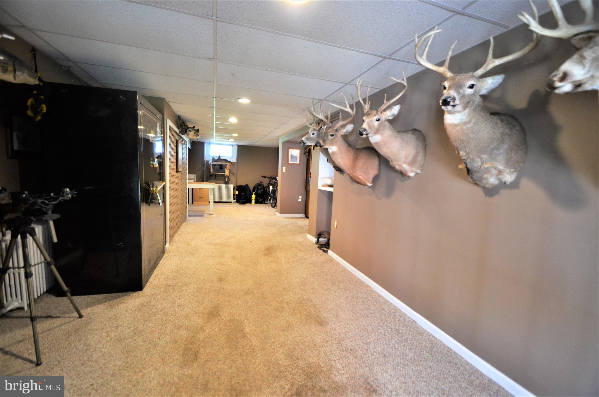 1229 River Road Upper Black Eddy, PA 18972 - Photo 24 of 40