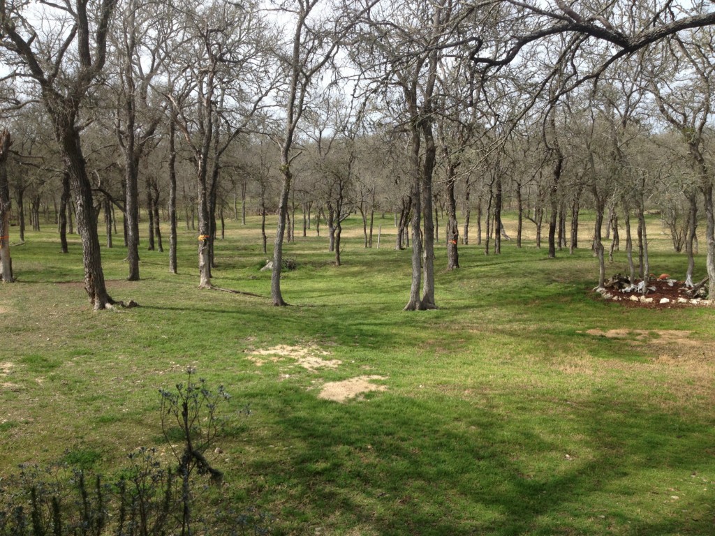 128 View Ridge Dale, TX 78616 - Photo 1 of 1 a view of a park with lots of trees