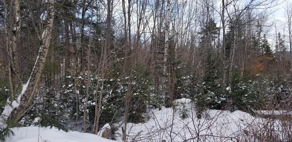 0 Easter Hill Road Roxbury, ME 04275 - Photo 15 of 56 20210107_131736 - Copy