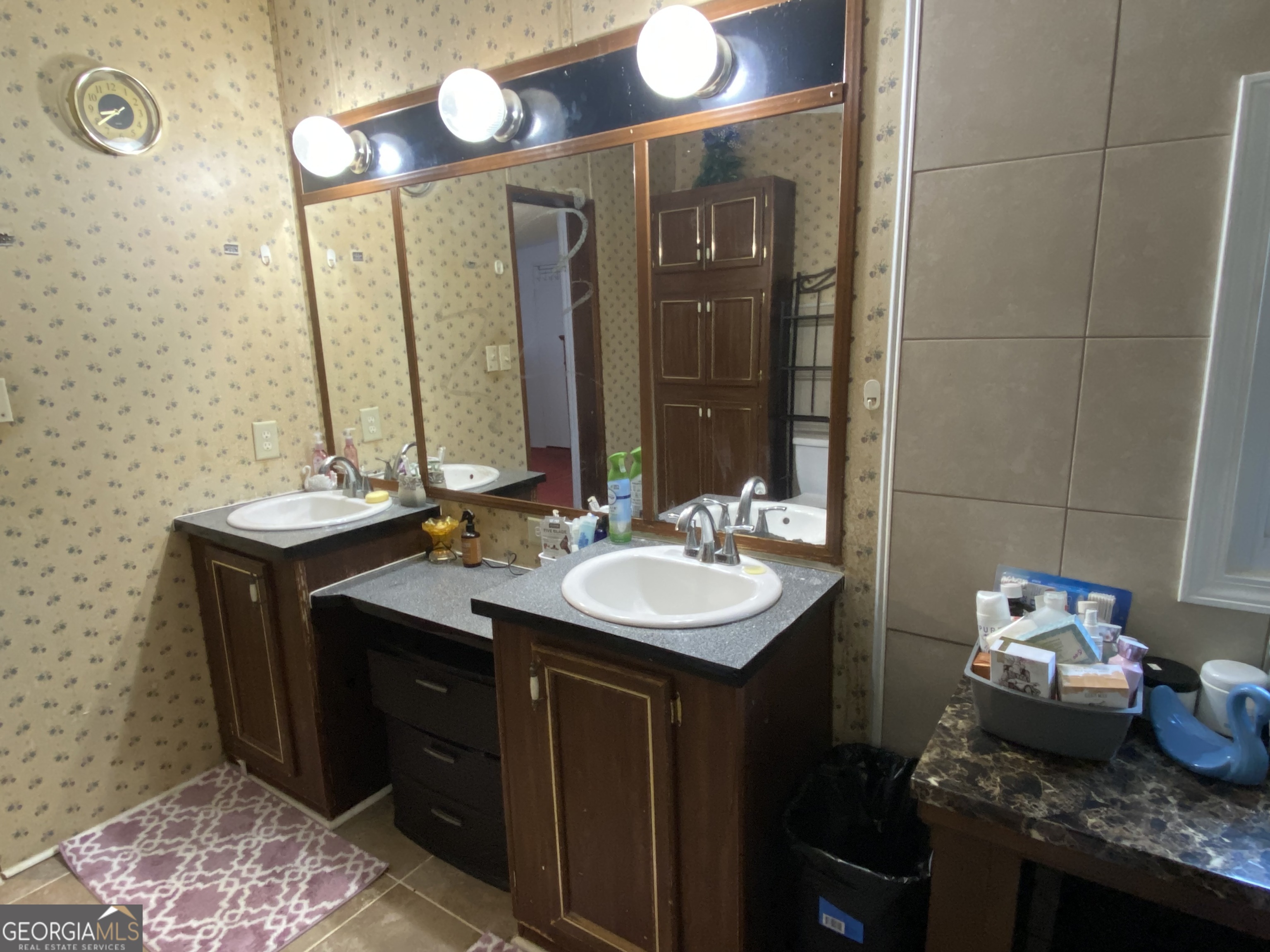 580 Centralia Rachels Road Warthen, GA 31094 - Photo 20 of 40 a bathroom with a sink and a mirror