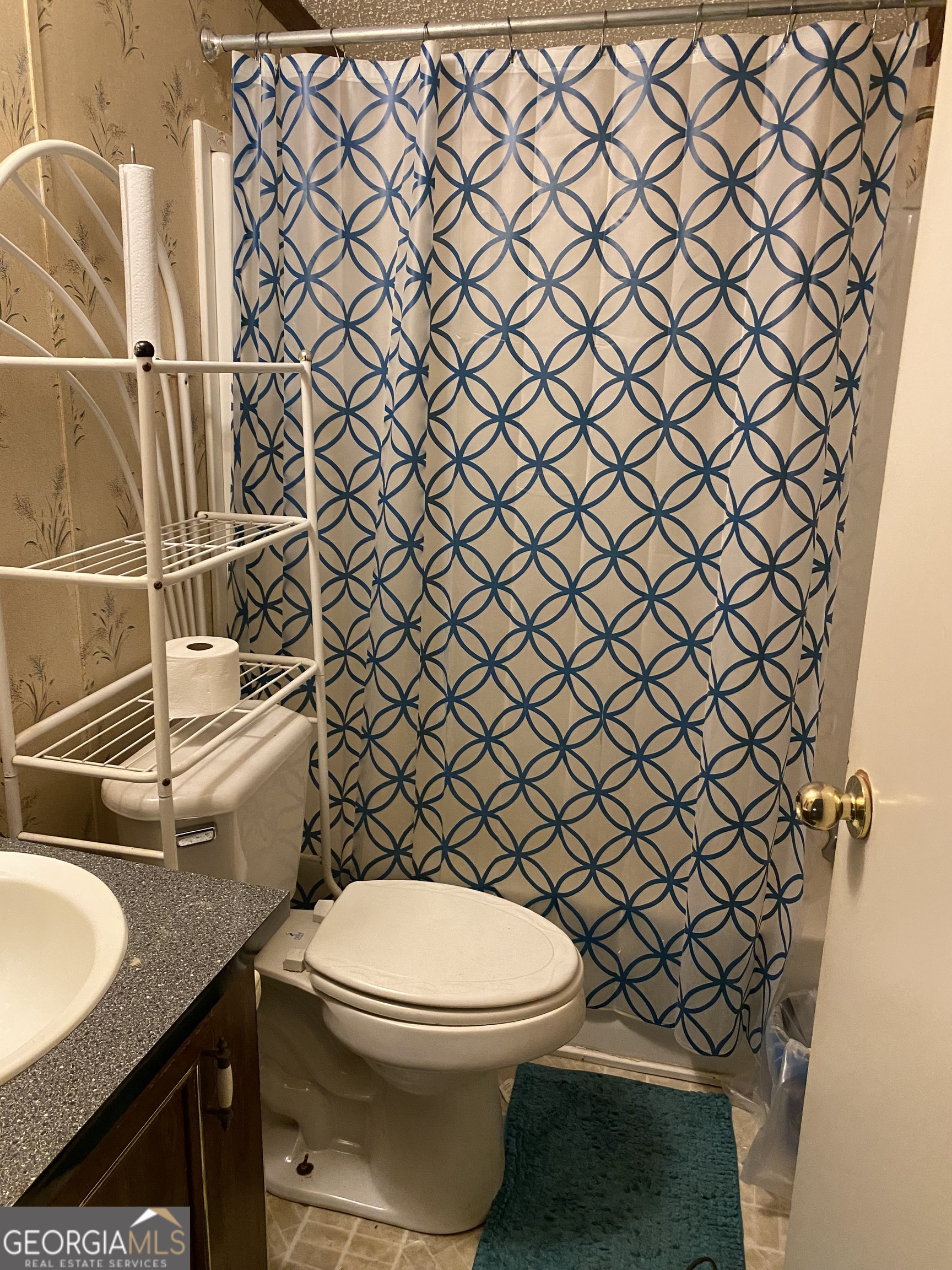 580 Centralia Rachels Road Warthen, GA 31094 - Photo 26 of 40 a bathroom with a granite countertop toilet and a sink