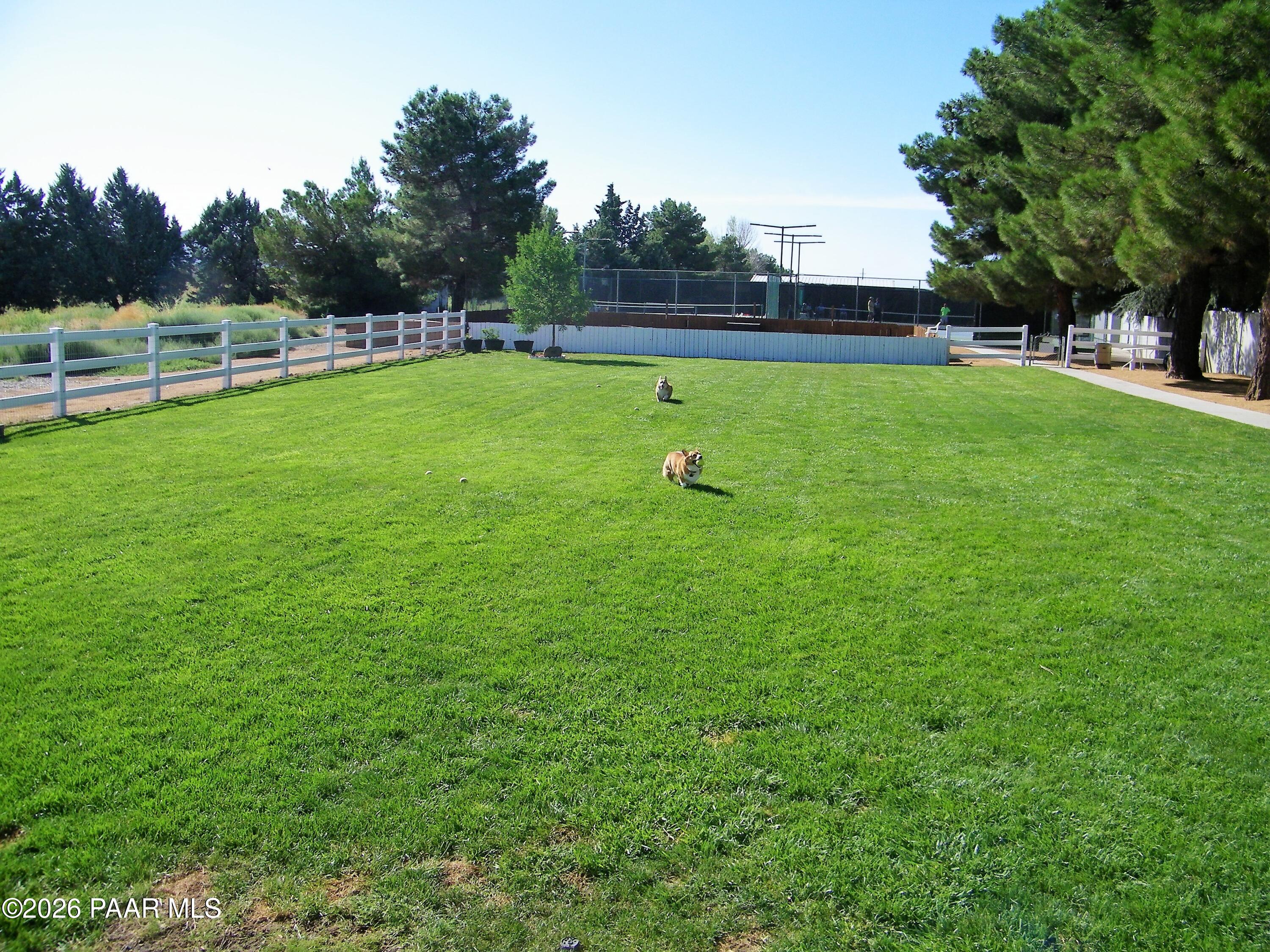 12170 East Obsidian Loop Road Prescott Valley, AZ 86327 - Photo 30 of 39 Village at Lynx Creek - Dog Park