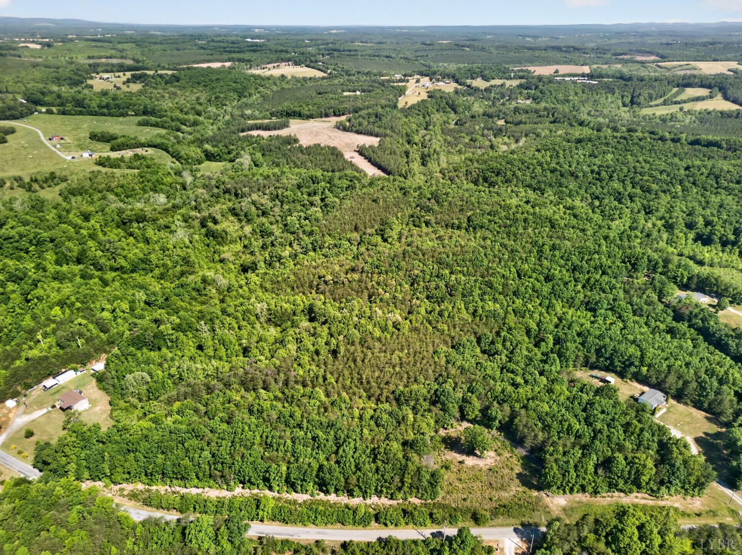 0 Mohawk Road Long Island, VA 24554 - Photo 13 of 23