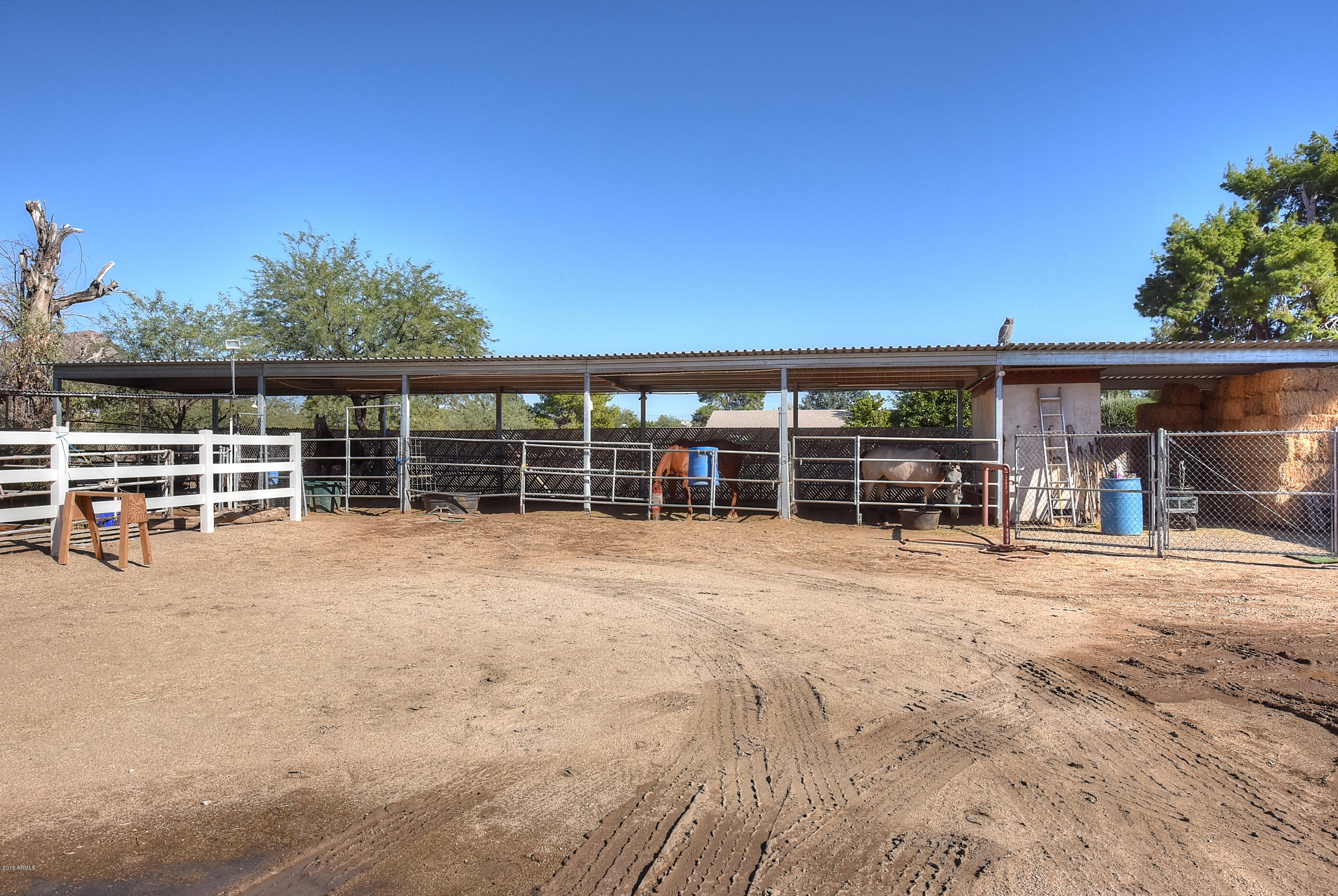 846 East Roberts Road Phoenix, AZ 85022 - Photo 4 of 45 Shared Horse Area