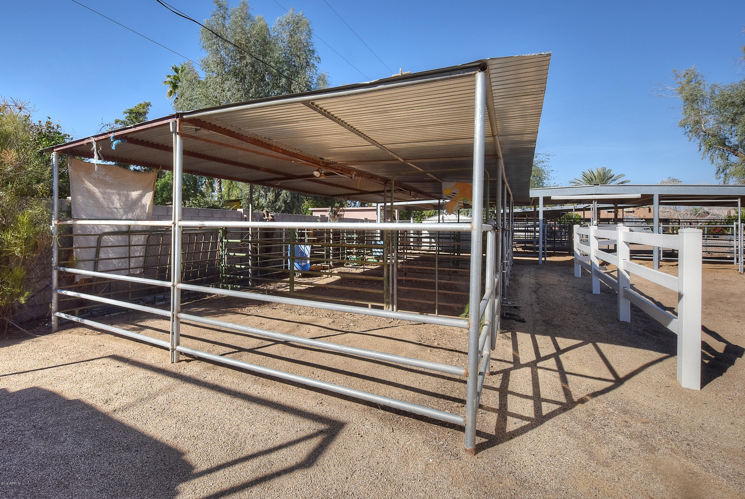 846 East Roberts Road Phoenix, AZ 85022 - Photo 5 of 45 Shared Horse Area