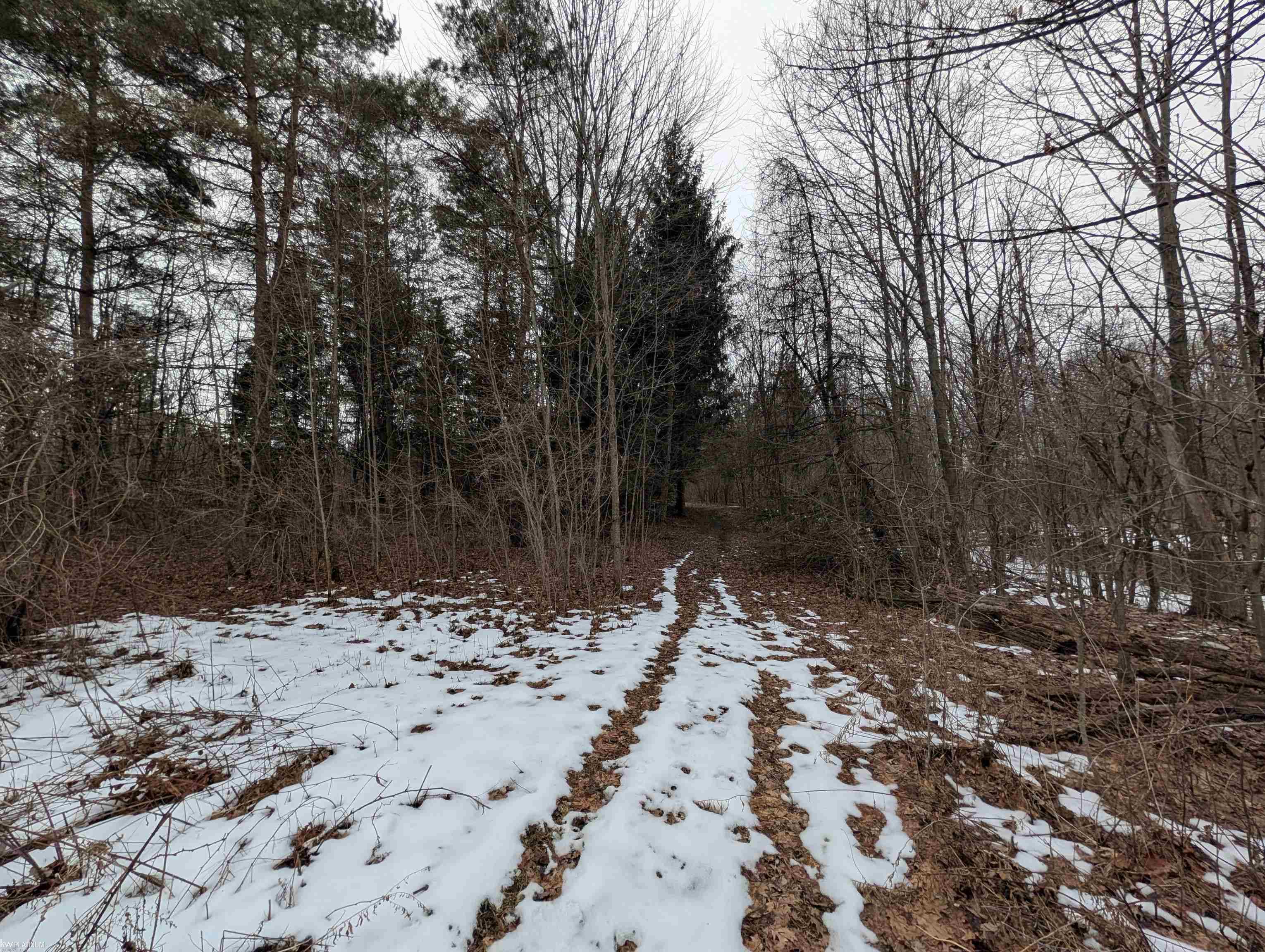 9072 Green Road Goodells, MI 48027 - Photo 43 of 73