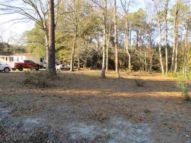 676 Deer Springs Loop Georgetown, SC 29440 - Photo 14 of 15