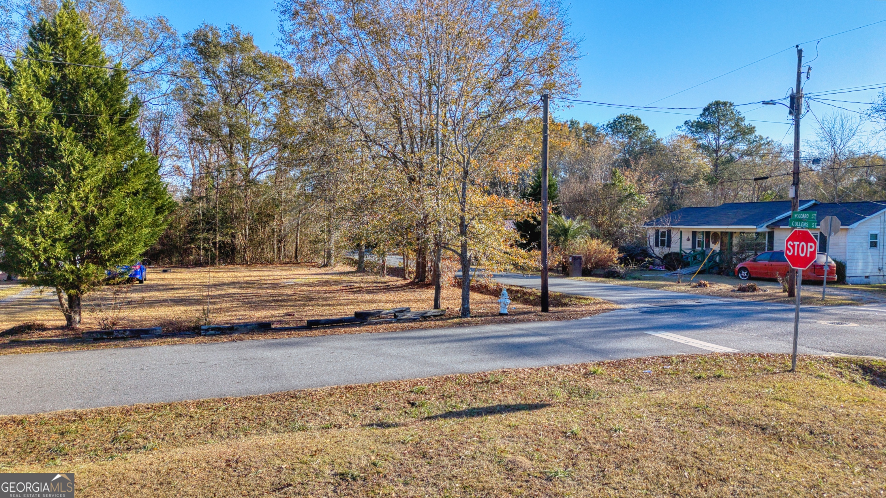 0 Woodard Dublin, GA 31021 - Photo 7 of 23