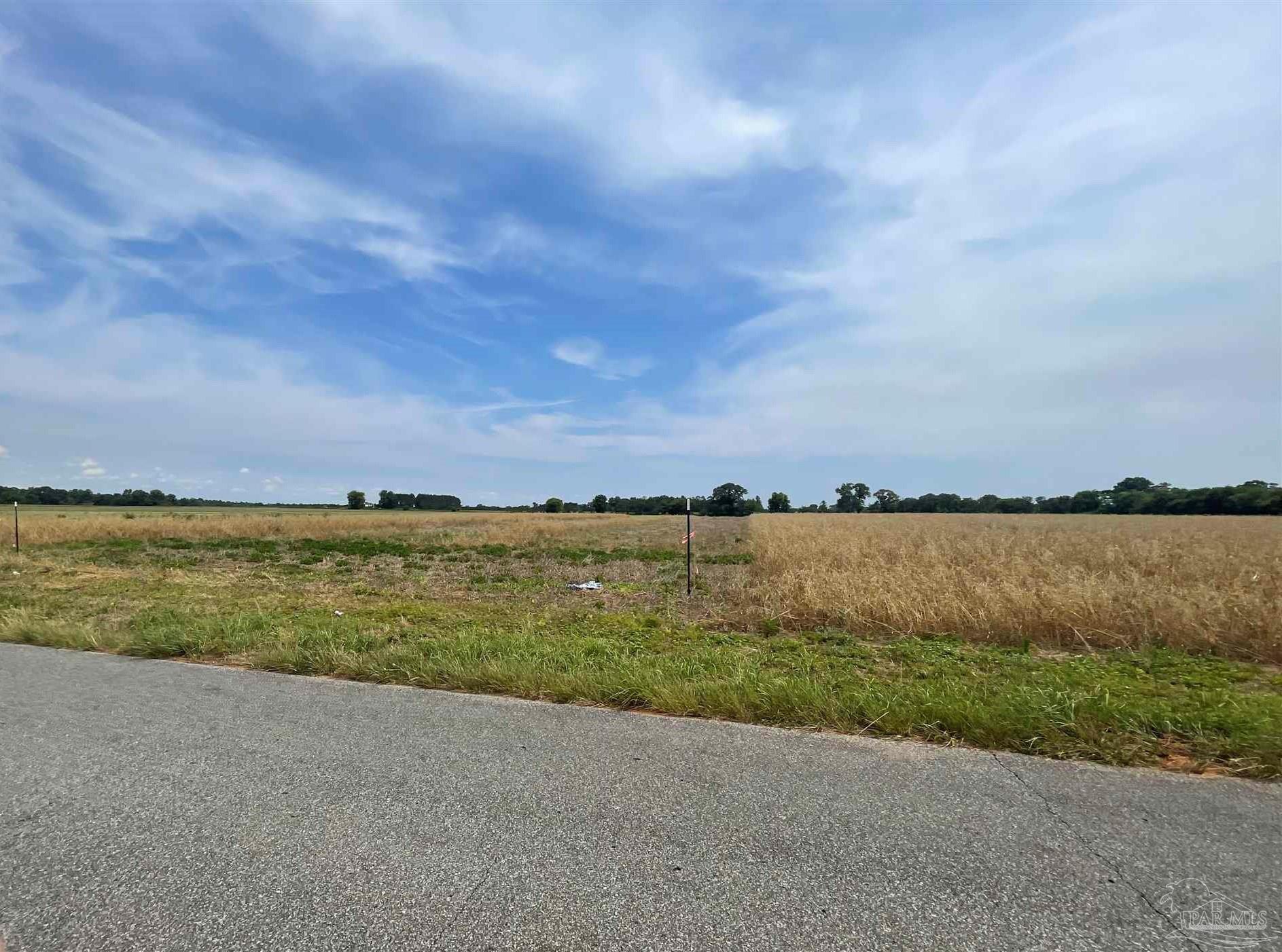1 Shell Road Jay, FL 32565 - Photo 12 of 22 a view of a lake with houses in the back