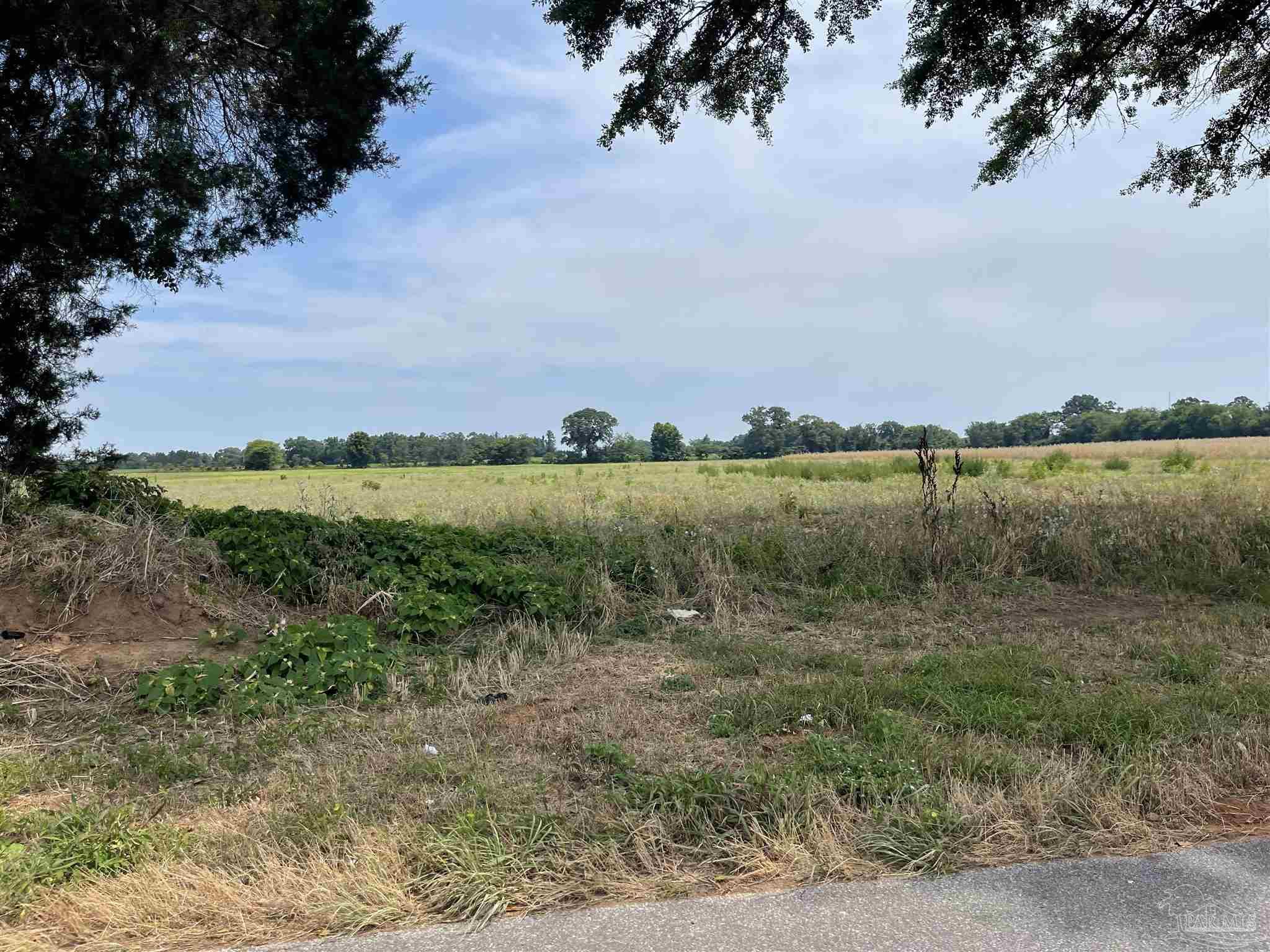 1 Shell Road Jay, FL 32565 - Photo 2 of 22 a view of a lake with houses in the back