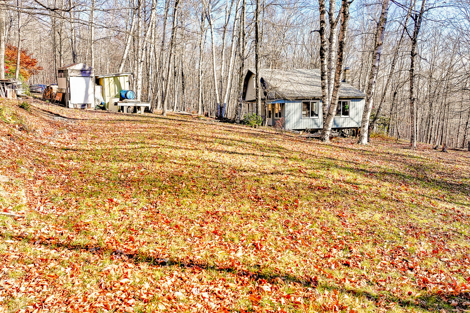60 Bickford Road Dixmont, ME 04932 - Photo 13 of 40 IMG_7366