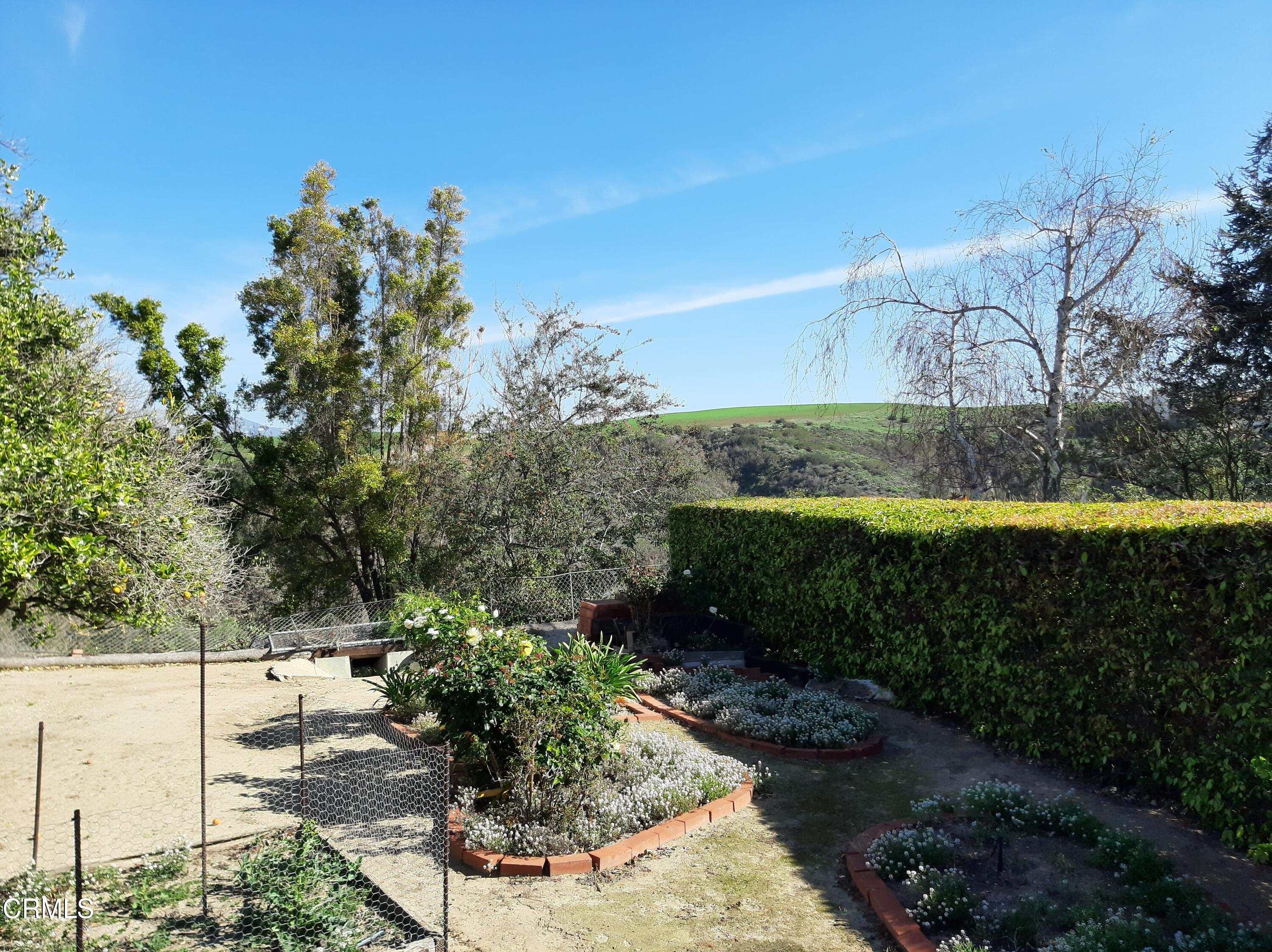 3166 Old Coach Drive Camarillo, CA 93010 - Photo 27 of 55 a view of a yard