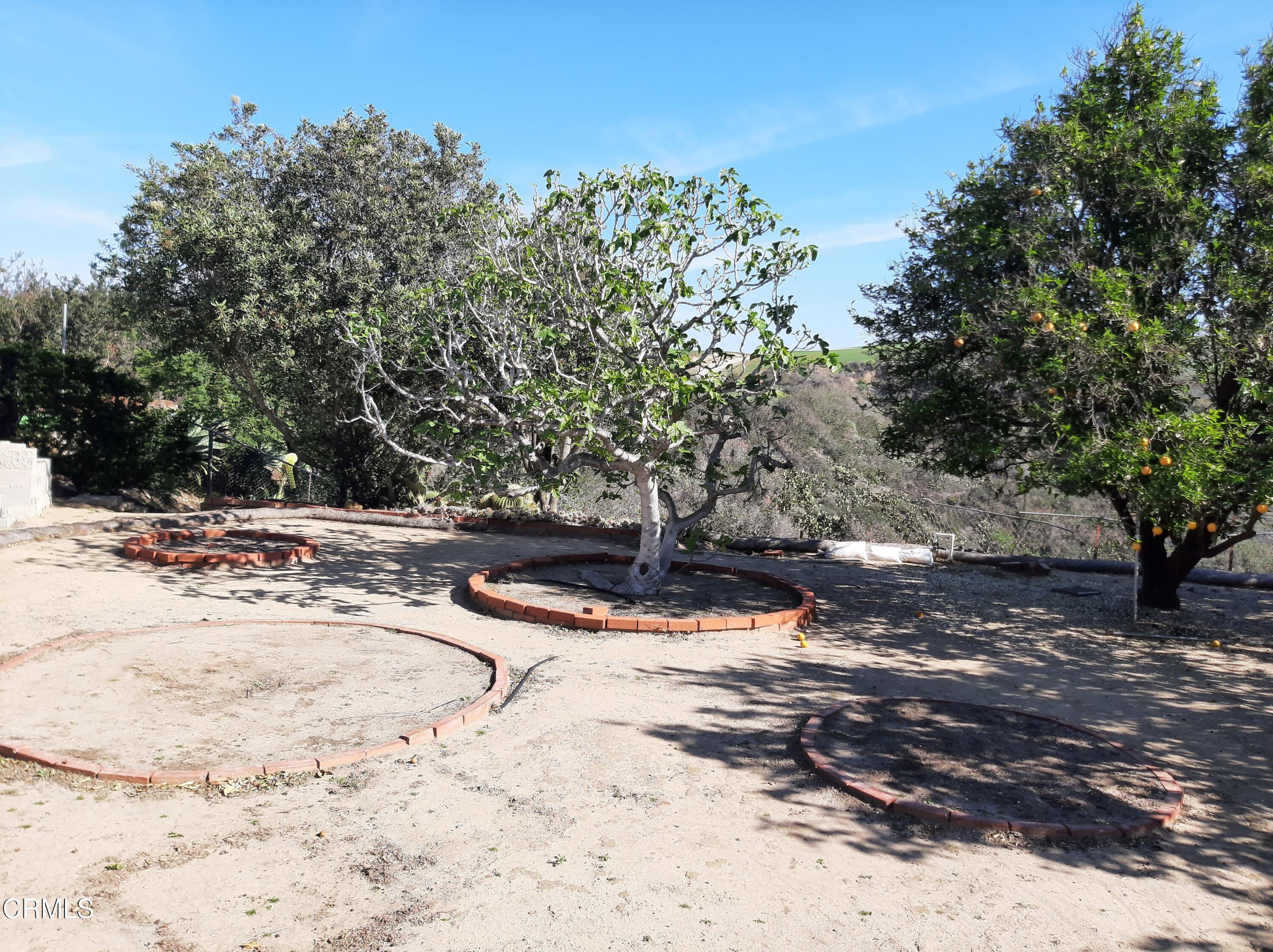 3166 Old Coach Drive Camarillo, CA 93010 - Photo 28 of 55 OC Exterior8